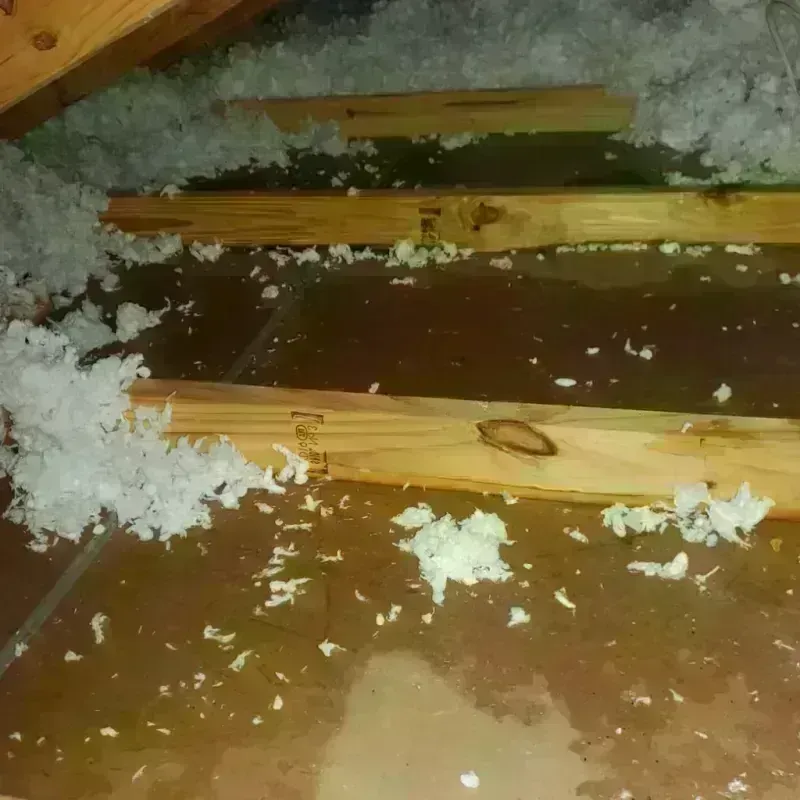 Attic Water Damage in Laie, HI